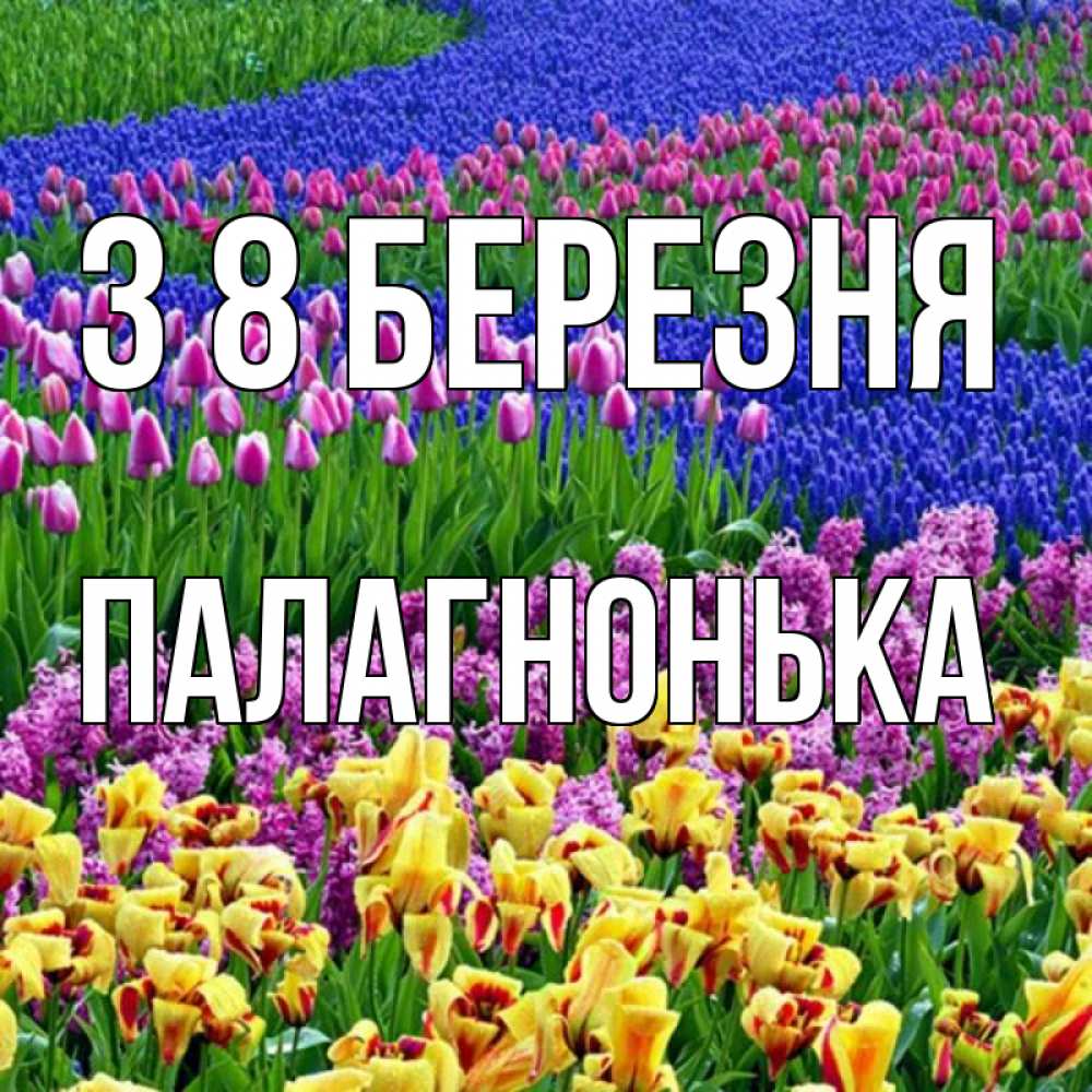 Открытка на каждый день з підписом, Палагнонька З 8 БЕРЕЗНЯ цветы Прикольна листівка з побажанням онлайн скачати безкоштовно 