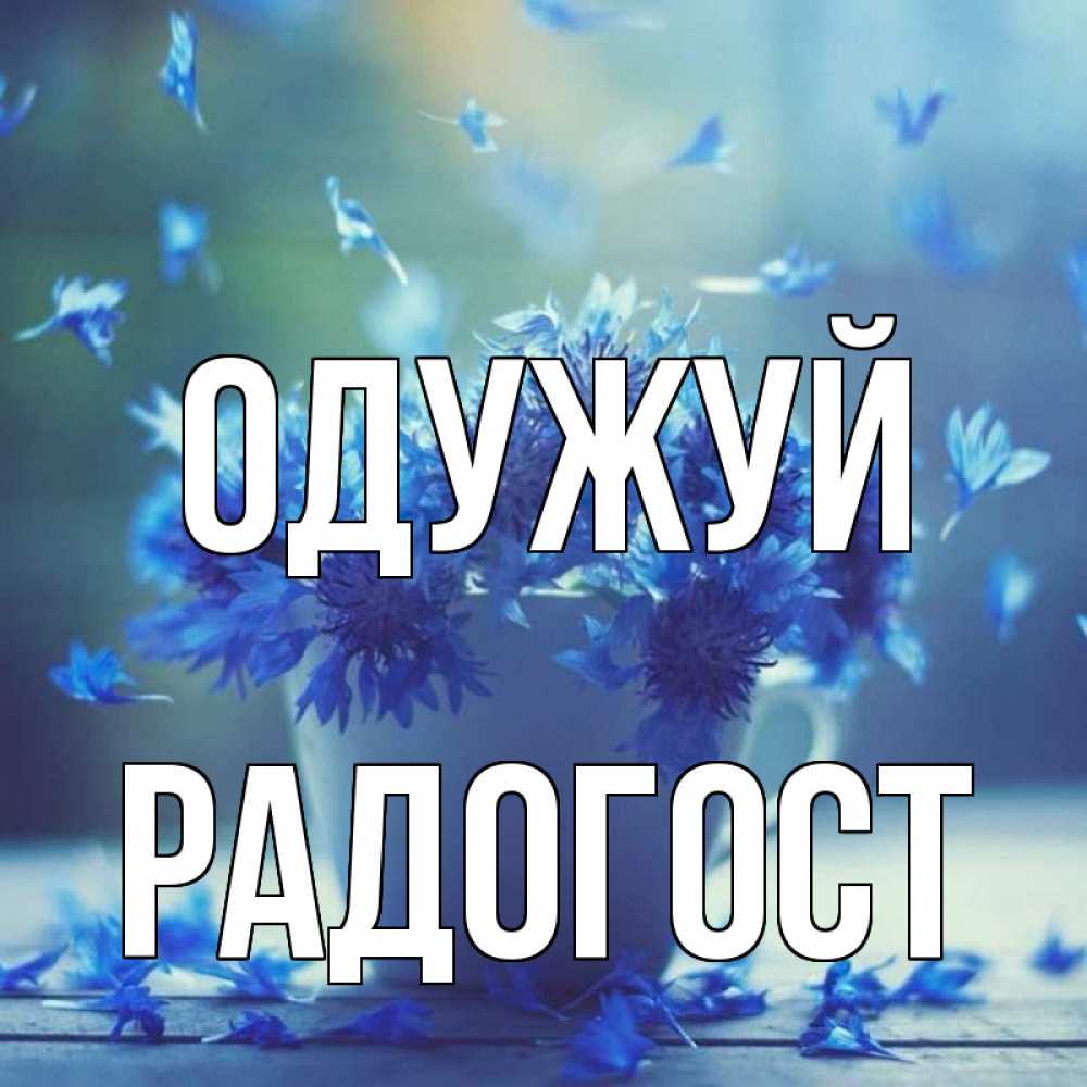Открытка на каждый день з підписом, Радогост Одужуй кружка с зельем и цветами Прикольна листівка з побажанням онлайн скачати безкоштовно 