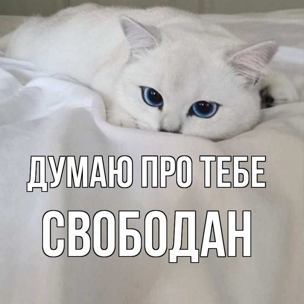 Открытка на каждый день з підписом, Свободан Думаю про тебе я очень по тебе скучаю и тоскую Прикольна листівка з побажанням онлайн скачати безкоштовно 