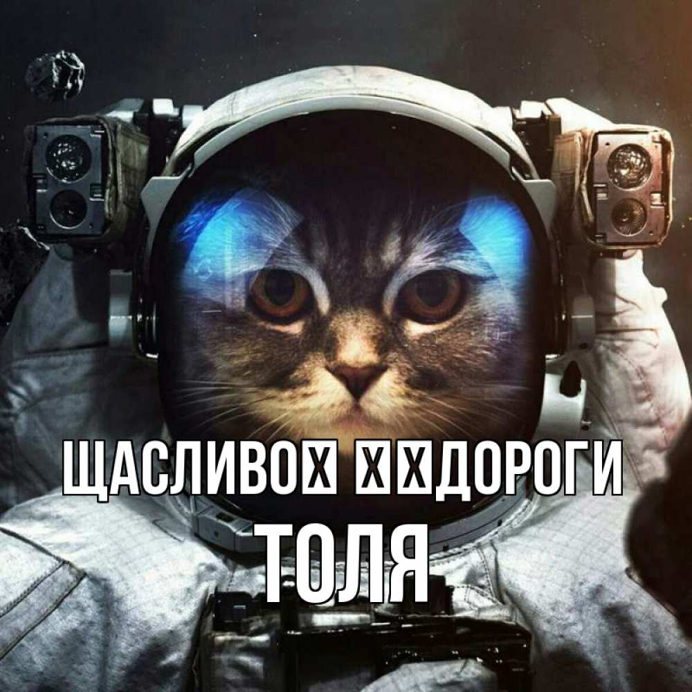 Открытка на каждый день з підписом, Толя Щасливої ​​дороги желает удачно добраться Прикольна листівка з побажанням онлайн скачати безкоштовно 