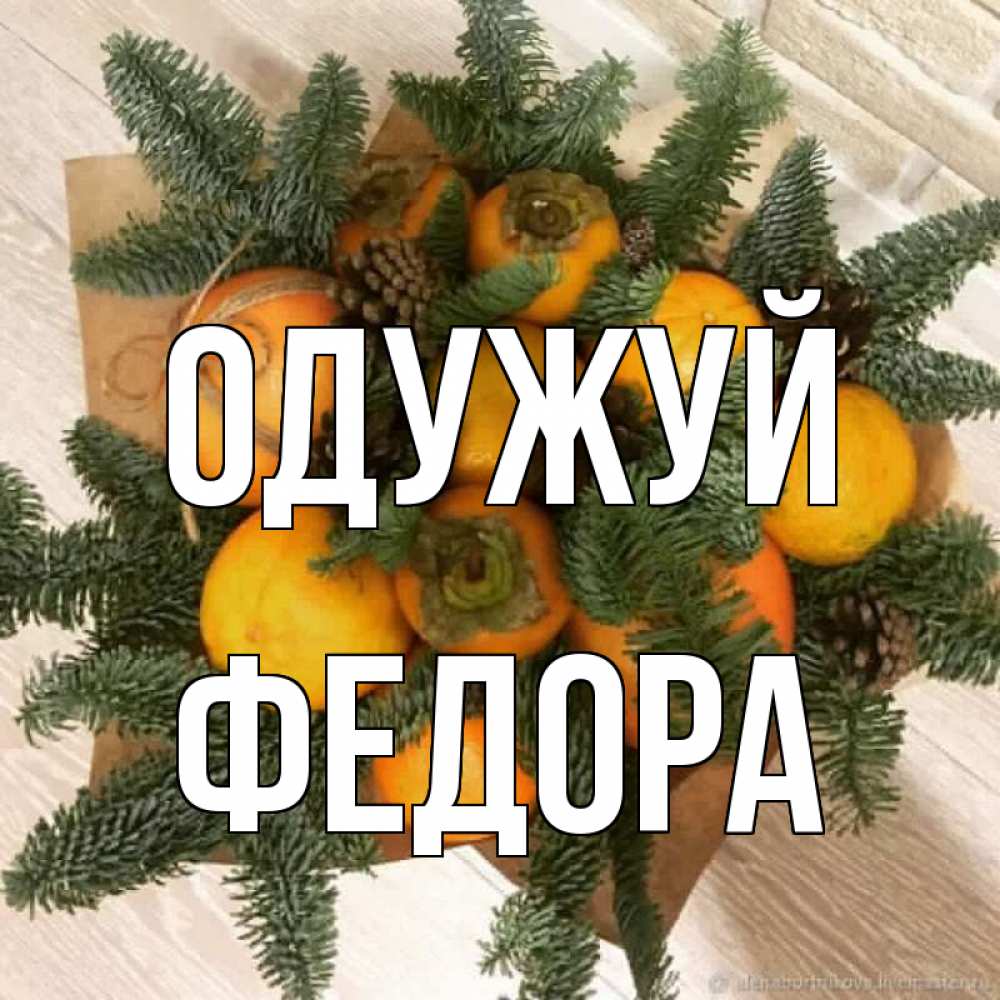Открытка на каждый день з підписом, Федора Одужуй апельсины и хурьма Прикольна листівка з побажанням онлайн скачати безкоштовно 