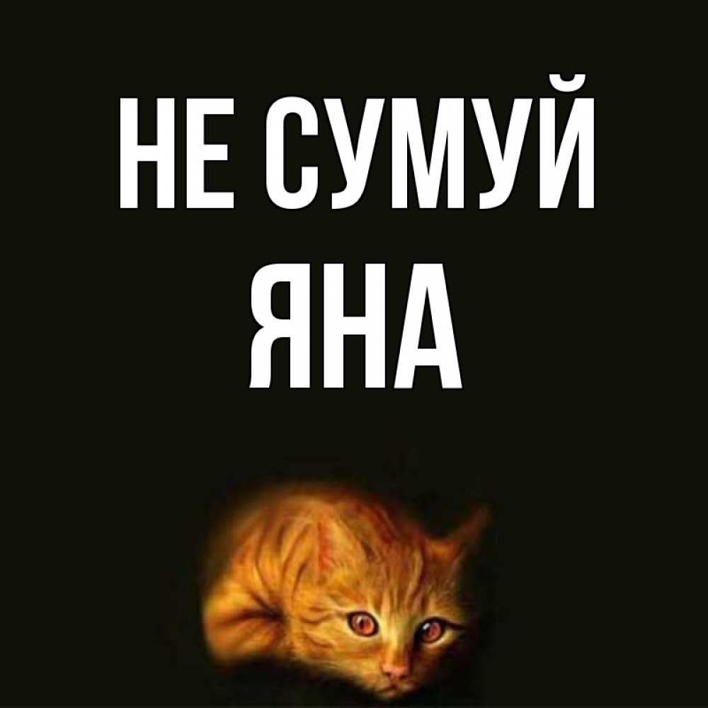Открытка на каждый день з підписом, Яна Не сумуй лежащий кот в темноте Прикольна листівка з побажанням онлайн скачати безкоштовно 