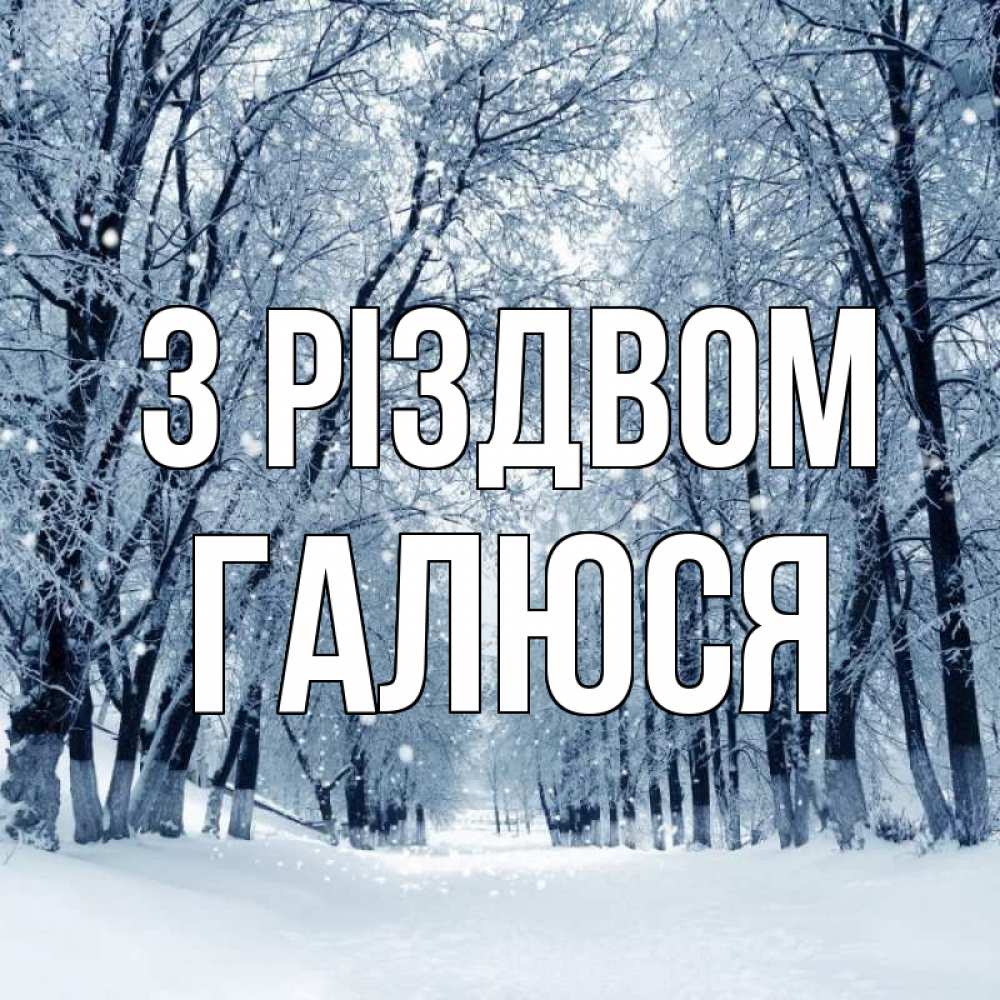 Открытка на каждый день з підписом, Галюся З Різдвом снег, лес, парк Прикольна листівка з побажанням онлайн скачати безкоштовно 