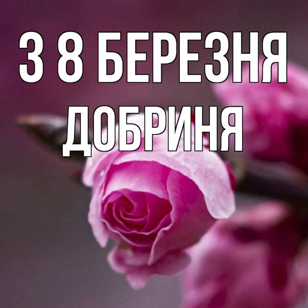Открытка на каждый день з підписом, Добриня З 8 БЕРЕЗНЯ весна Прикольна листівка з побажанням онлайн скачати безкоштовно 
