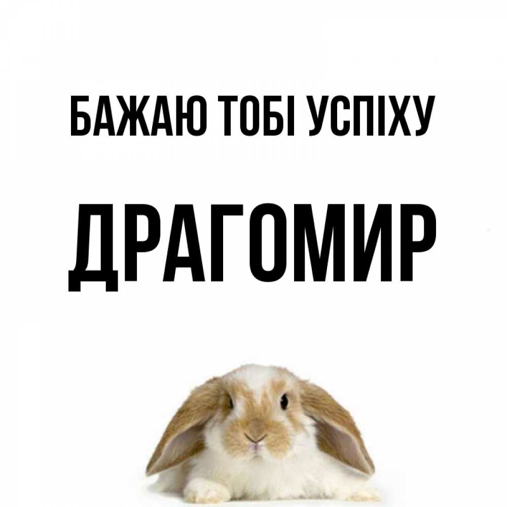 Открытка на каждый день з підписом, Драгомир Бажаю тобі успіху открытки с произвольным текстом который можно вставить в открытку и создать ее самостоятельно бесплатно онлайн Прикольна листівка з побажанням онлайн скачати безкоштовно 