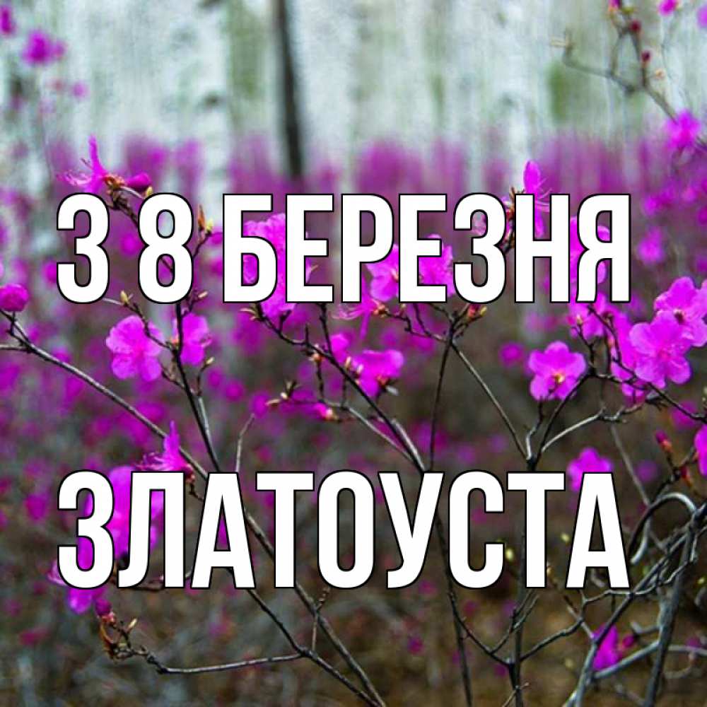 Открытка на каждый день з підписом, Златоуста З 8 БЕРЕЗНЯ дикие цветы Прикольна листівка з побажанням онлайн скачати безкоштовно 