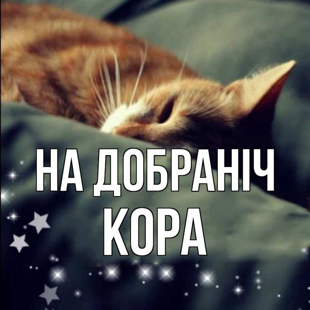 Открытка на каждый день з підписом, Кора На добраніч кроватка Прикольна листівка з побажанням онлайн скачати безкоштовно 
