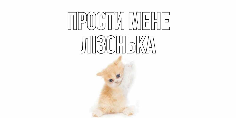 Открытка на каждый день з підписом, Лізонька Прости мене кот Прикольна листівка з побажанням онлайн скачати безкоштовно 