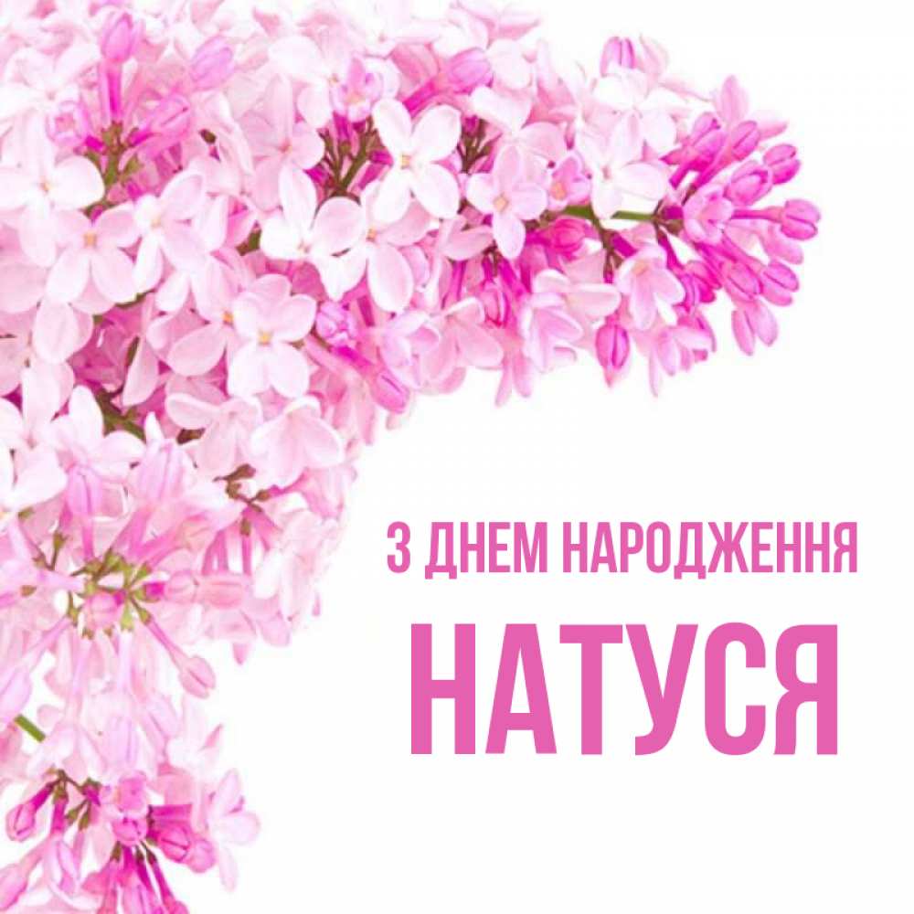 Открытка на каждый день з підписом, Натуся З Днем народження Сирень на белом фоне Прикольна листівка з побажанням онлайн скачати безкоштовно 