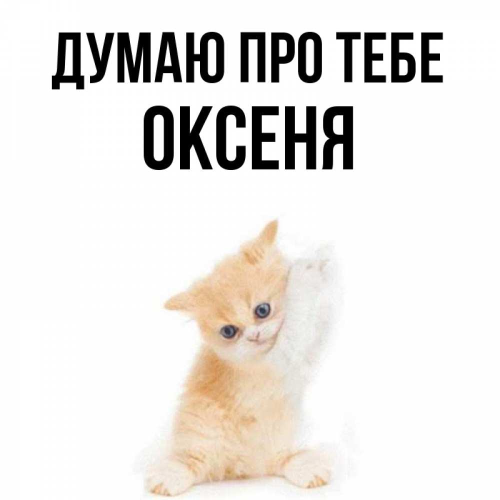 Открытка на каждый день з підписом, Оксеня Думаю про тебе зверушки и милота Прикольна листівка з побажанням онлайн скачати безкоштовно 