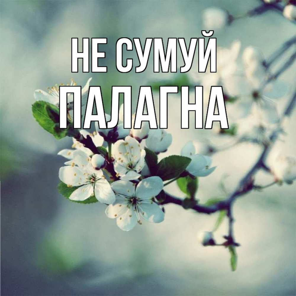 Открытка на каждый день з підписом, Палагна Не сумуй яблоня в цвету 1 Прикольна листівка з побажанням онлайн скачати безкоштовно 