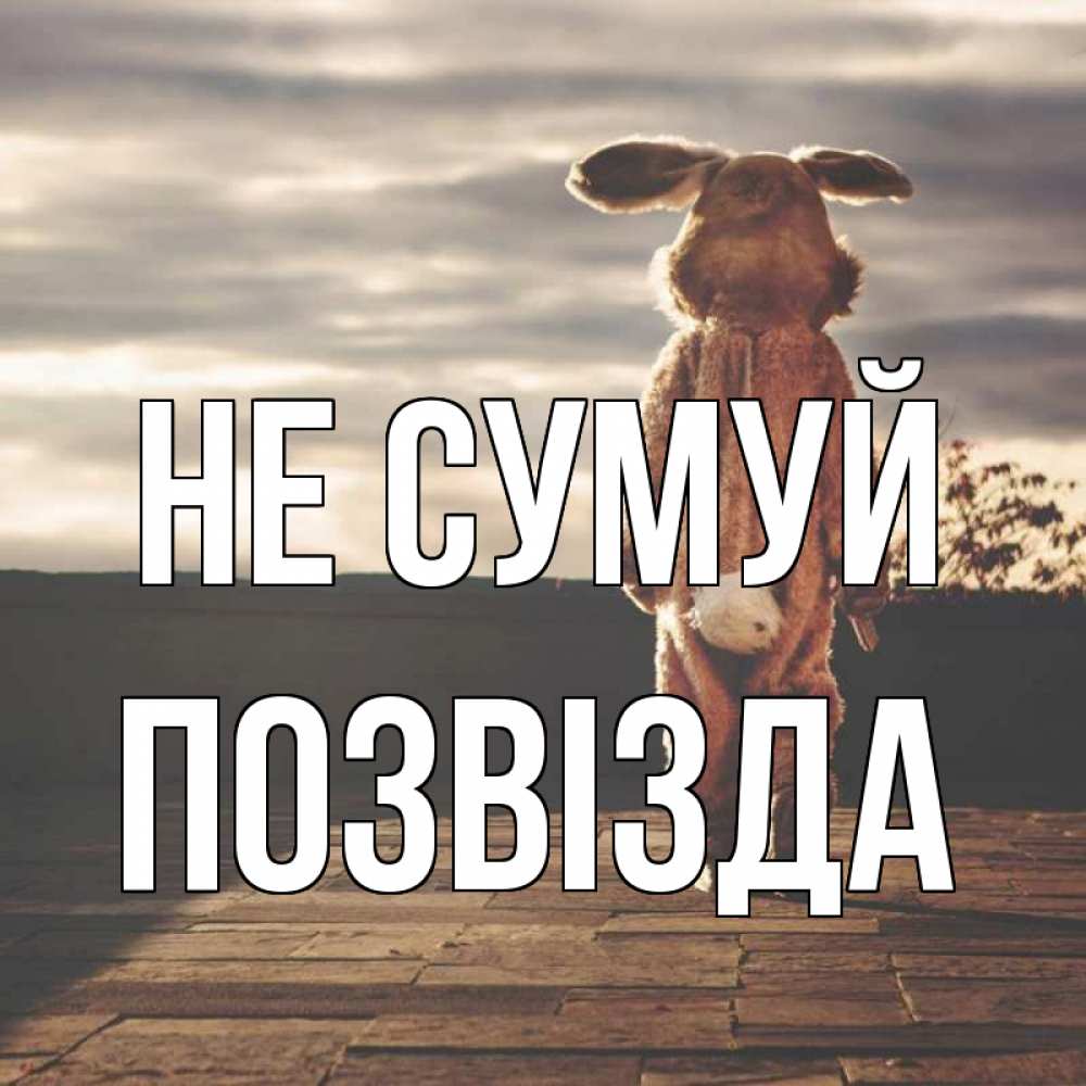 Открытка на каждый день з підписом, Позвізда Не сумуй со спины Прикольна листівка з побажанням онлайн скачати безкоштовно 