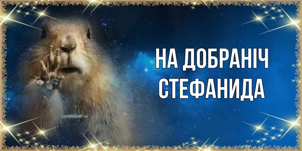 Открытка на каждый день з підписом, Стефанида На добраніч спокойной ночи сладких снов Прикольна листівка з побажанням онлайн скачати безкоштовно 