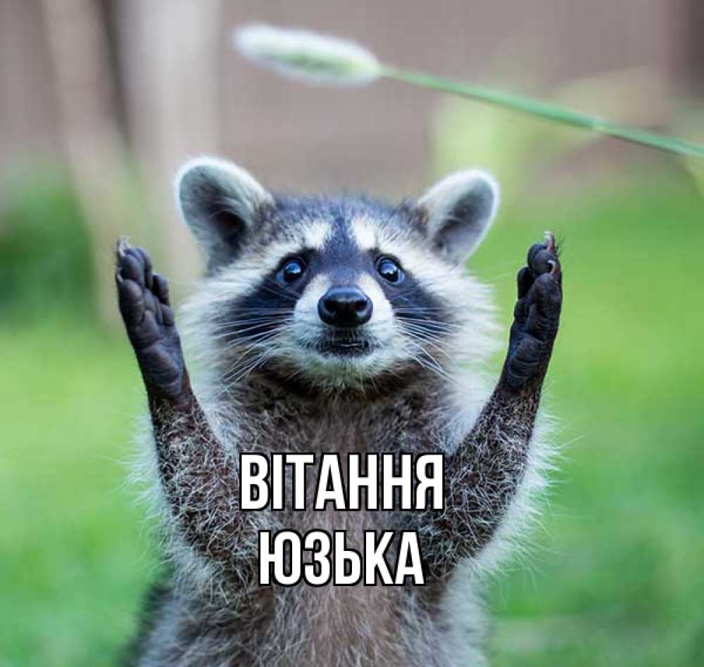 Открытка на каждый день з підписом, Юзька Вітання животные Прикольна листівка з побажанням онлайн скачати безкоштовно 