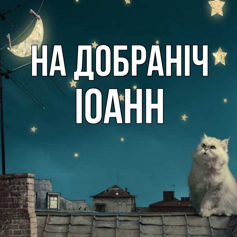 Открытка на каждый день з підписом, Іоанн На добраніч белый кот сидит на крыше Прикольна листівка з побажанням онлайн скачати безкоштовно 