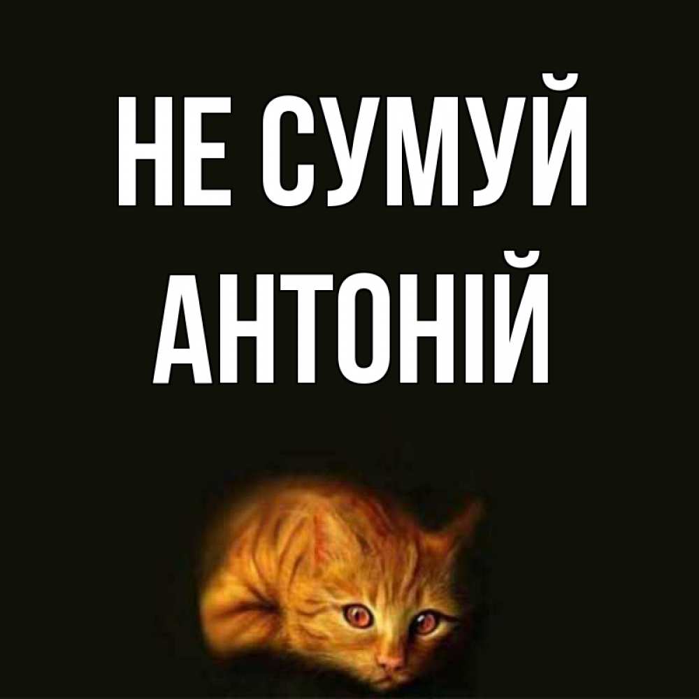 Открытка на каждый день з підписом, Антоній Не сумуй лежащий кот в темноте Прикольна листівка з побажанням онлайн скачати безкоштовно 