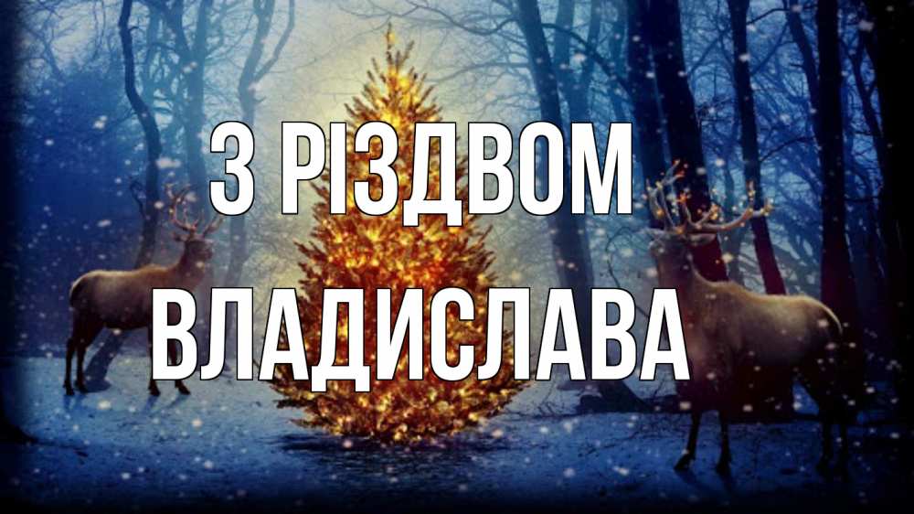 Открытка на каждый день з підписом, Владислава З Різдвом олени, новогодняя елка Прикольна листівка з побажанням онлайн скачати безкоштовно 