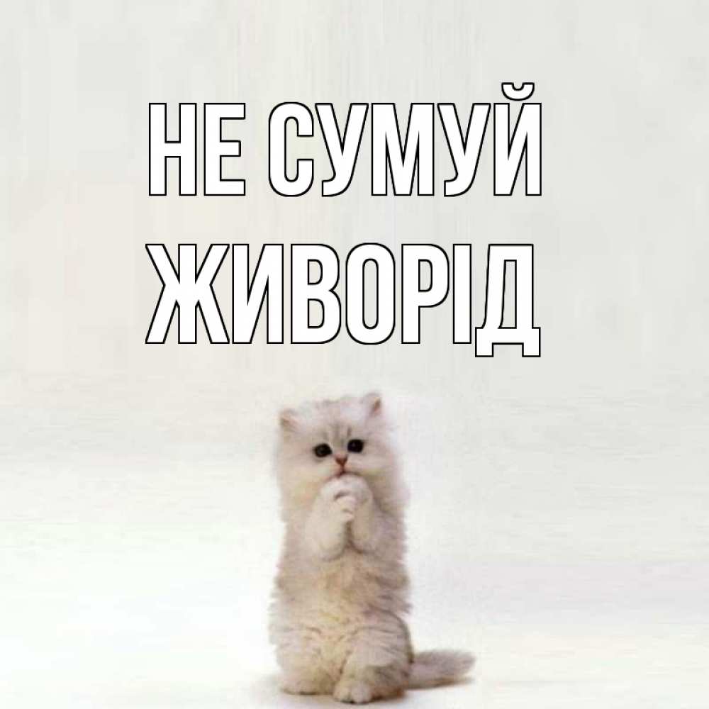 Открытка на каждый день з підписом, Живорід Не сумуй грустный кот Прикольна листівка з побажанням онлайн скачати безкоштовно 