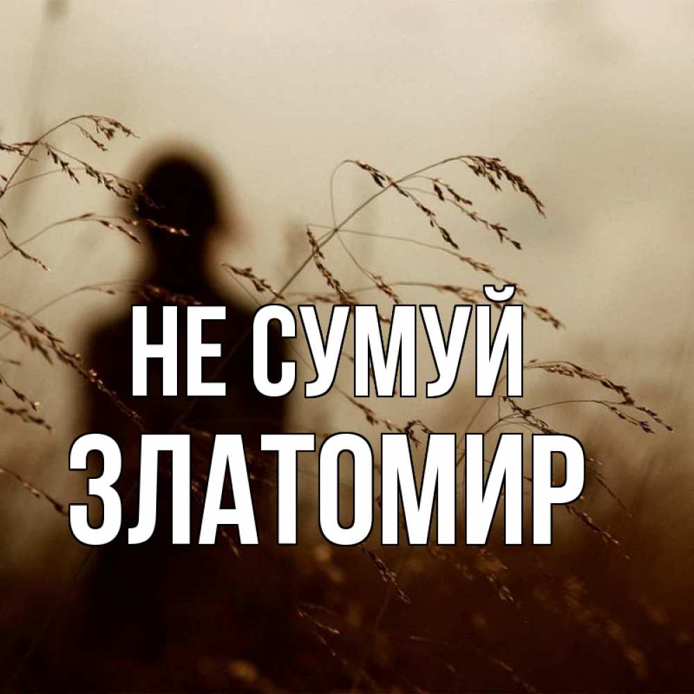 Открытка на каждый день з підписом, Златомир Не сумуй грусть Прикольна листівка з побажанням онлайн скачати безкоштовно 