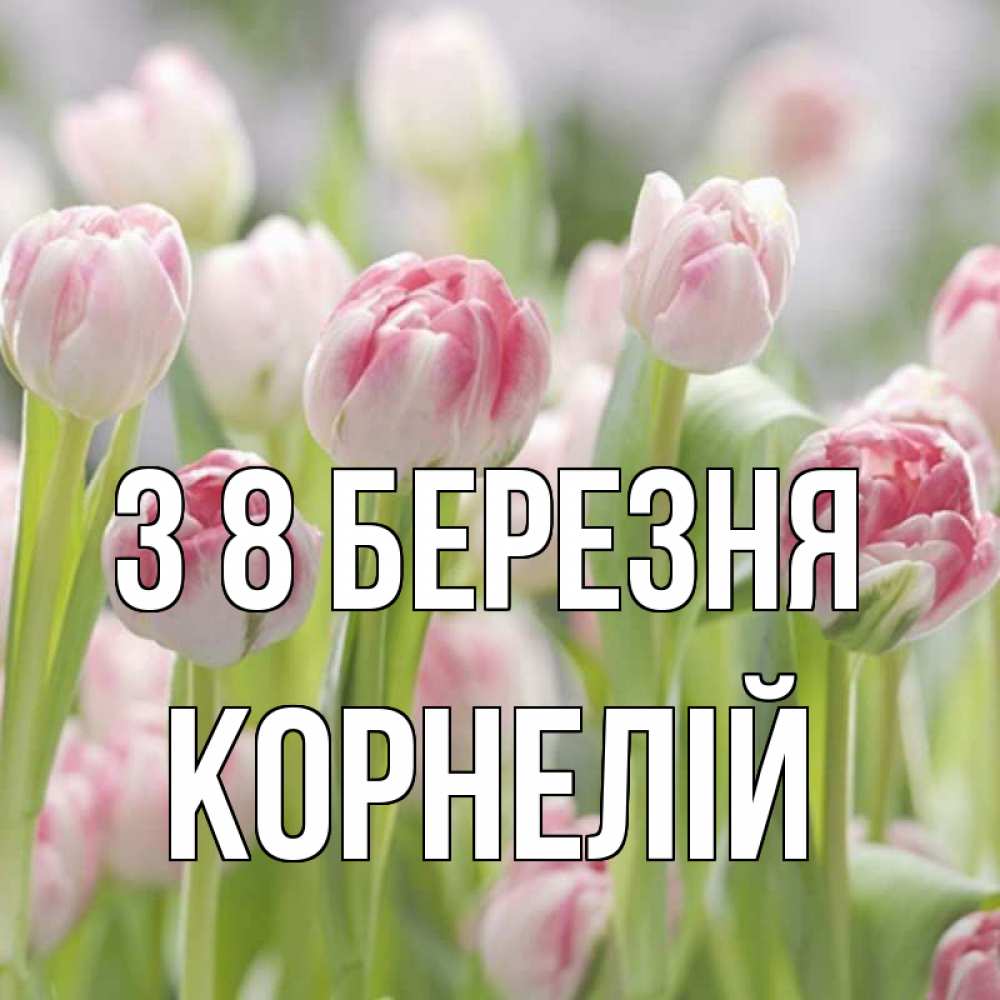 Открытка на каждый день з підписом, Корнелій З 8 БЕРЕЗНЯ цветы Прикольна листівка з побажанням онлайн скачати безкоштовно 