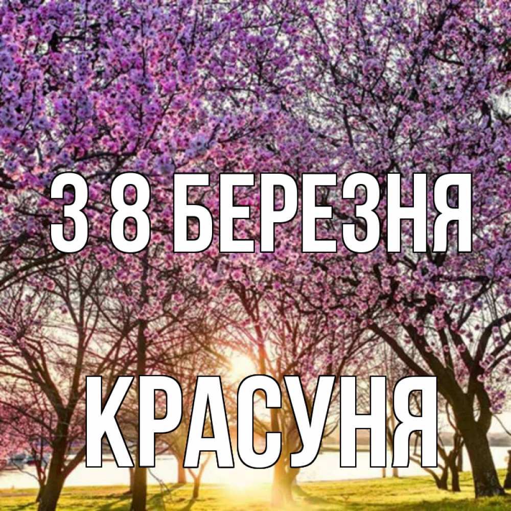 Открытка на каждый день з підписом, Красуня З 8 БЕРЕЗНЯ международный женский день Прикольна листівка з побажанням онлайн скачати безкоштовно 