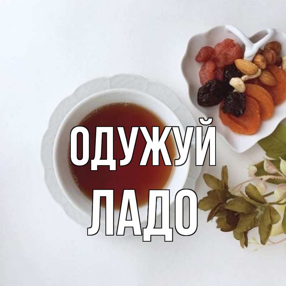 Открытка на каждый день з підписом, Ладо Одужуй неизвестные растения Прикольна листівка з побажанням онлайн скачати безкоштовно 