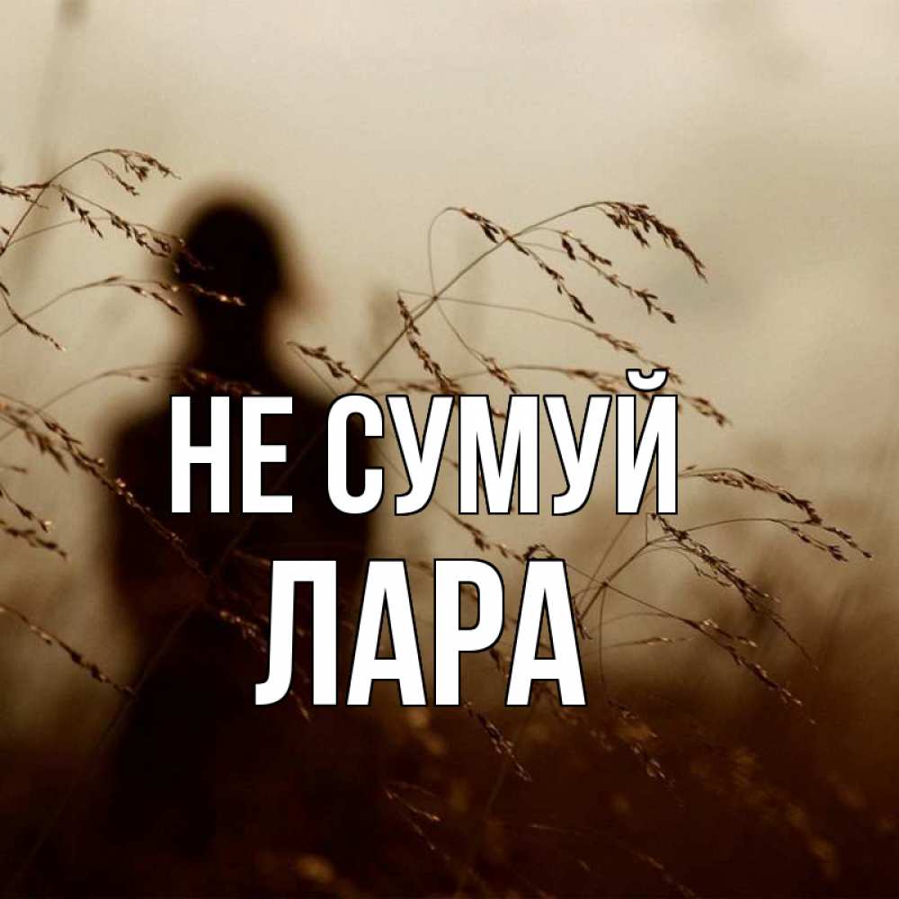Открытка на каждый день з підписом, Лара Не сумуй грусть Прикольна листівка з побажанням онлайн скачати безкоштовно 