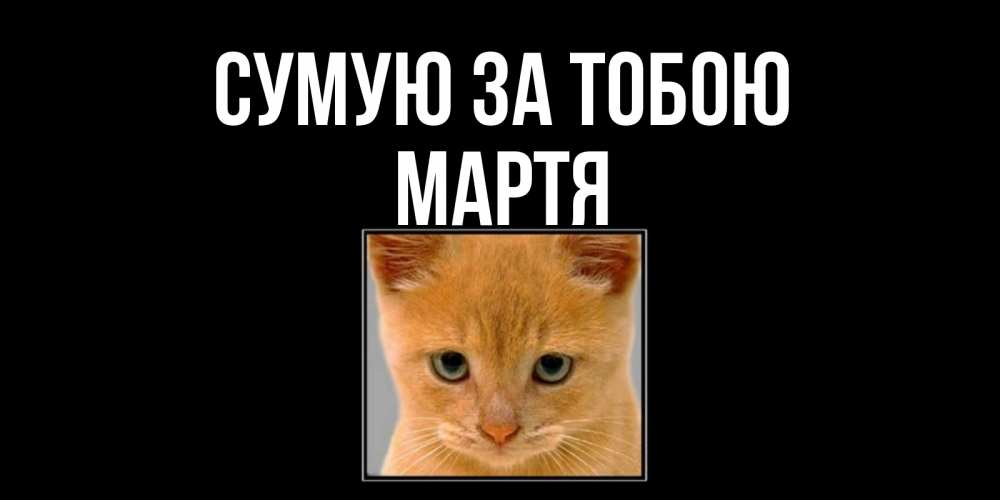 Открытка на каждый день з підписом, Мартя Сумую за тобою открытки рыжий котенок скучает по тебе Прикольна листівка з побажанням онлайн скачати безкоштовно 