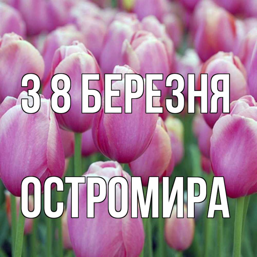 Открытка на каждый день з підписом, Остромира З 8 БЕРЕЗНЯ на международный женский день 3 Прикольна листівка з побажанням онлайн скачати безкоштовно 