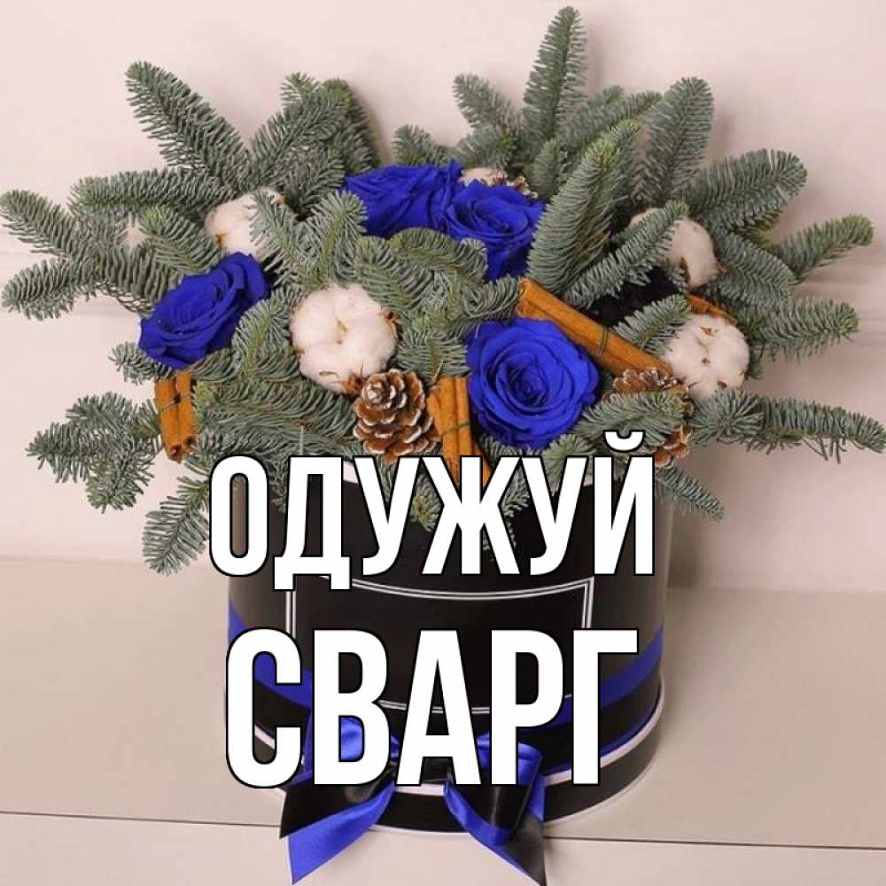 Открытка на каждый день з підписом, Сварг Одужуй короче кто то загрузил эти шишки Прикольна листівка з побажанням онлайн скачати безкоштовно 