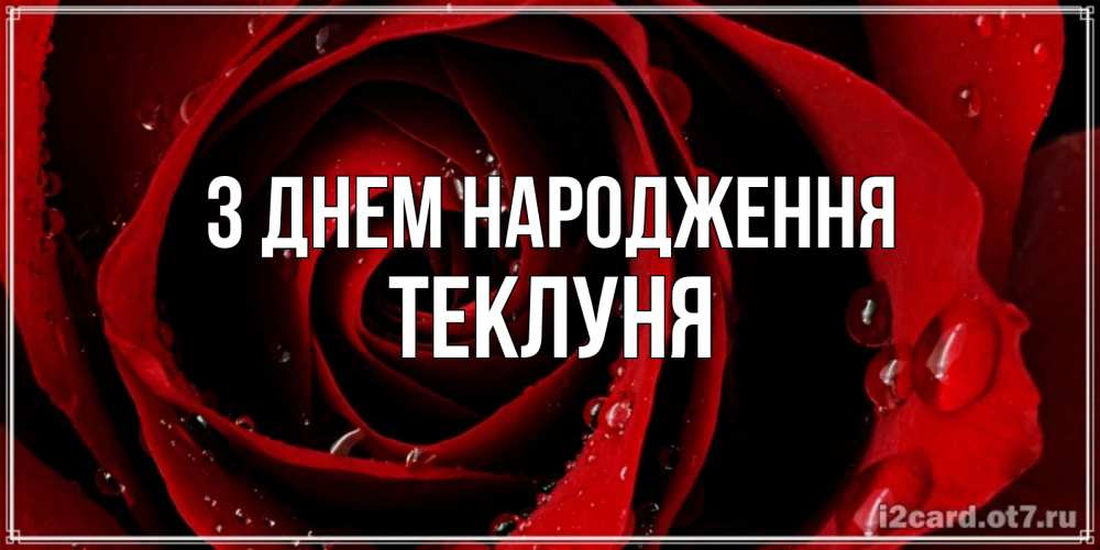 Открытка на каждый день з підписом, Теклуня З Днем народження крупная бордовая роза Прикольна листівка з побажанням онлайн скачати безкоштовно 