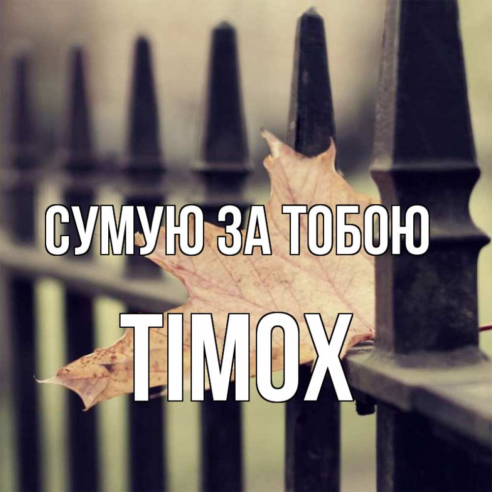 Открытка на каждый день з підписом, Тімох Сумую за тобою очень скучно Прикольна листівка з побажанням онлайн скачати безкоштовно 