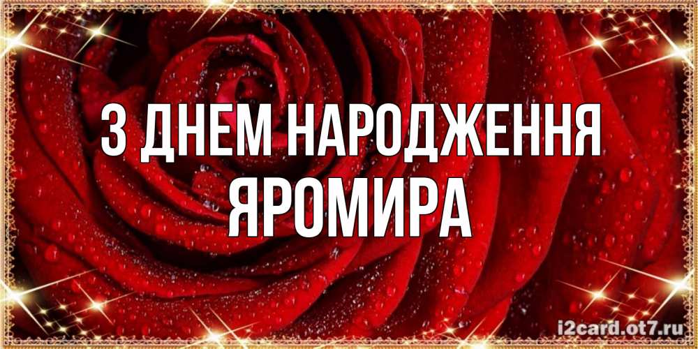 Открытка на каждый день з підписом, Яромира З Днем народження роса на розе блестящая в лучах солнца Прикольна листівка з побажанням онлайн скачати безкоштовно 
