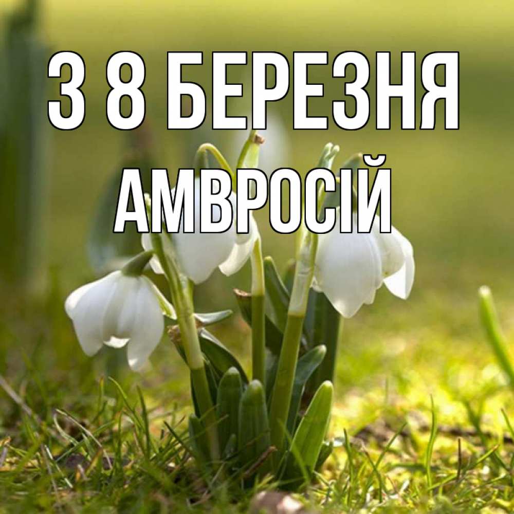 Открытка на каждый день з підписом, Амвросій З 8 БЕРЕЗНЯ ранние цветы 2 Прикольна листівка з побажанням онлайн скачати безкоштовно 