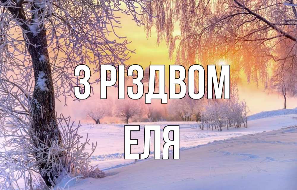 Открытка на каждый день з підписом, Еля З Різдвом рождество, лес, зима 1 Прикольна листівка з побажанням онлайн скачати безкоштовно 