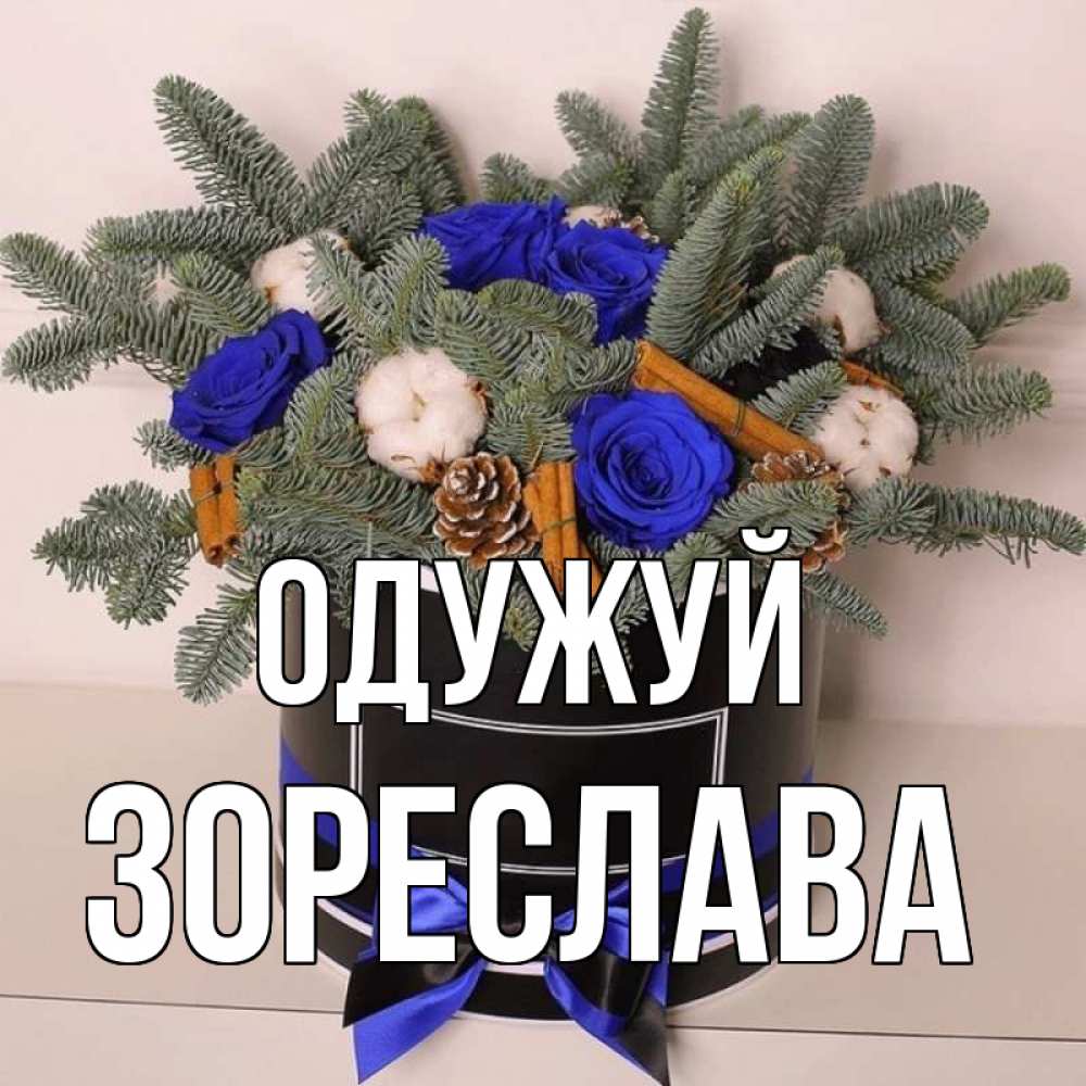 Открытка на каждый день з підписом, Зореслава Одужуй короче кто то загрузил эти шишки Прикольна листівка з побажанням онлайн скачати безкоштовно 