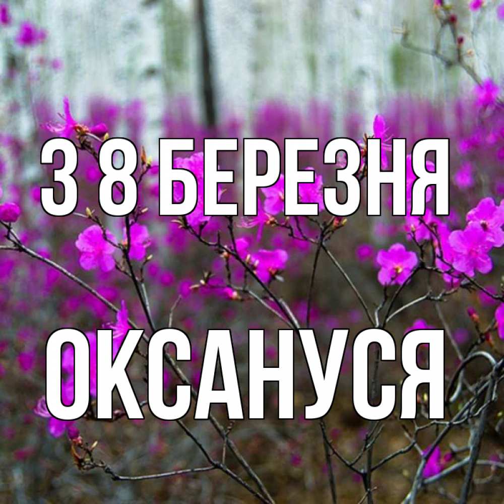 Открытка на каждый день з підписом, Оксануся З 8 БЕРЕЗНЯ дикие цветы Прикольна листівка з побажанням онлайн скачати безкоштовно 