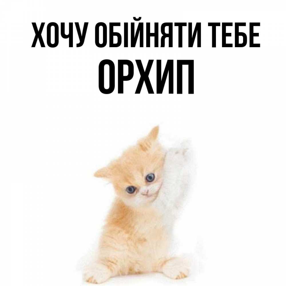 Открытка на каждый день з підписом, Орхип Хочу обійняти тебе я хочу очень скорее обнимаешек Прикольна листівка з побажанням онлайн скачати безкоштовно 