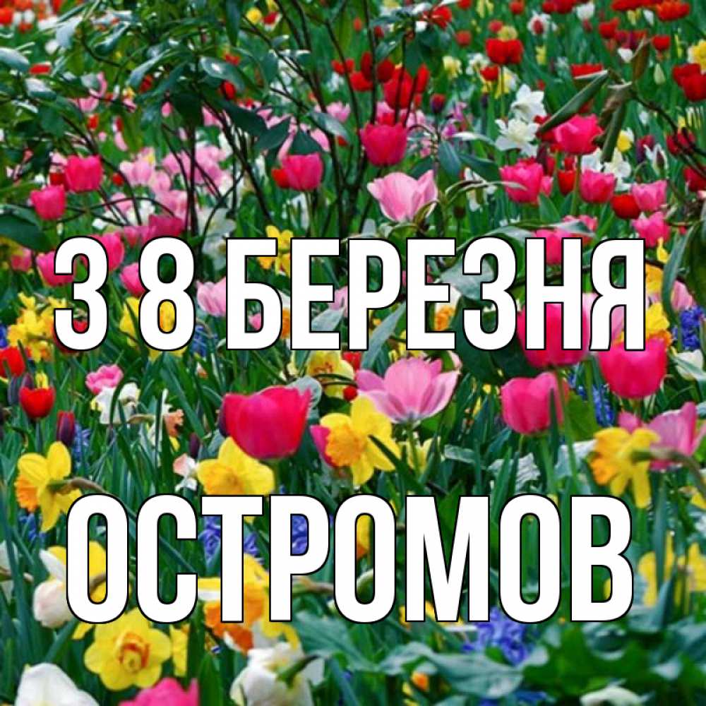 Открытка на каждый день з підписом, Остромов З 8 БЕРЕЗНЯ с международным женским днем поздравления для женщины Прикольна листівка з побажанням онлайн скачати безкоштовно 