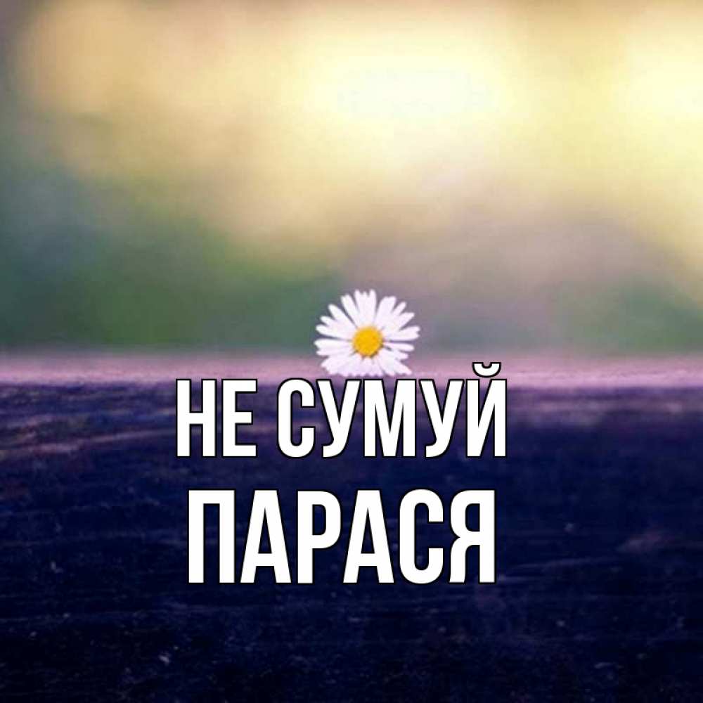 Открытка на каждый день з підписом, Парася Не сумуй красота Прикольна листівка з побажанням онлайн скачати безкоштовно 