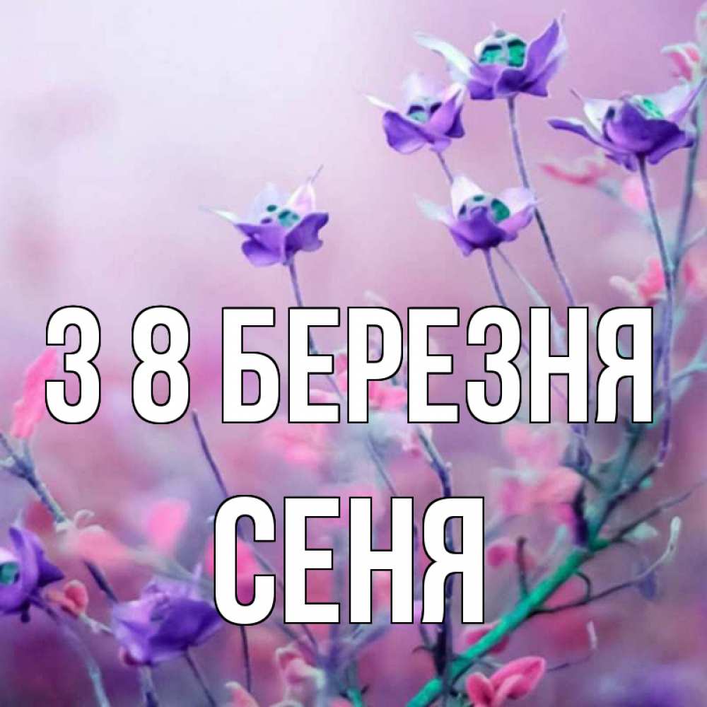 Открытка на каждый день з підписом, Сеня З 8 БЕРЕЗНЯ международный женский день 2 Прикольна листівка з побажанням онлайн скачати безкоштовно 