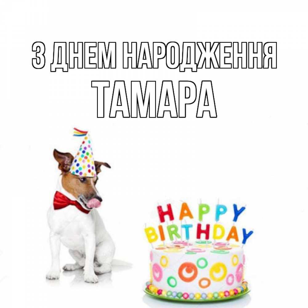Открытка на каждый день з підписом, Тамара З Днем народження праздник Прикольна листівка з побажанням онлайн скачати безкоштовно 