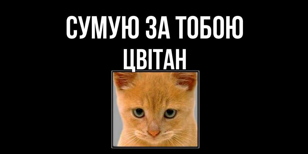 Открытка на каждый день з підписом, Цвітан Сумую за тобою открытки рыжий котенок скучает по тебе Прикольна листівка з побажанням онлайн скачати безкоштовно 