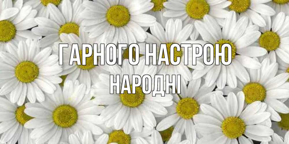 Открытка на каждый день з підписом, народні Гарного настрою поляна ромашек Прикольна листівка з побажанням онлайн скачати безкоштовно 