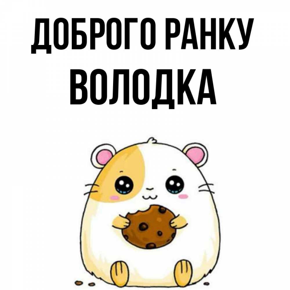 Открытка на каждый день з підписом, Володка Доброго ранку есть печеньку. Утречко Прикольна листівка з побажанням онлайн скачати безкоштовно 