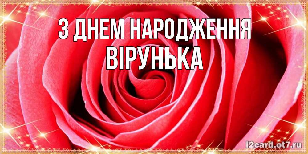 Открытка на каждый день з підписом, Вірунька З Днем народження розовая роза очень крупный бутон Прикольна листівка з побажанням онлайн скачати безкоштовно 