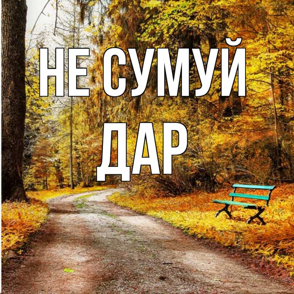 Открытка на каждый день з підписом, Дар Не сумуй зеленая лавочка Прикольна листівка з побажанням онлайн скачати безкоштовно 