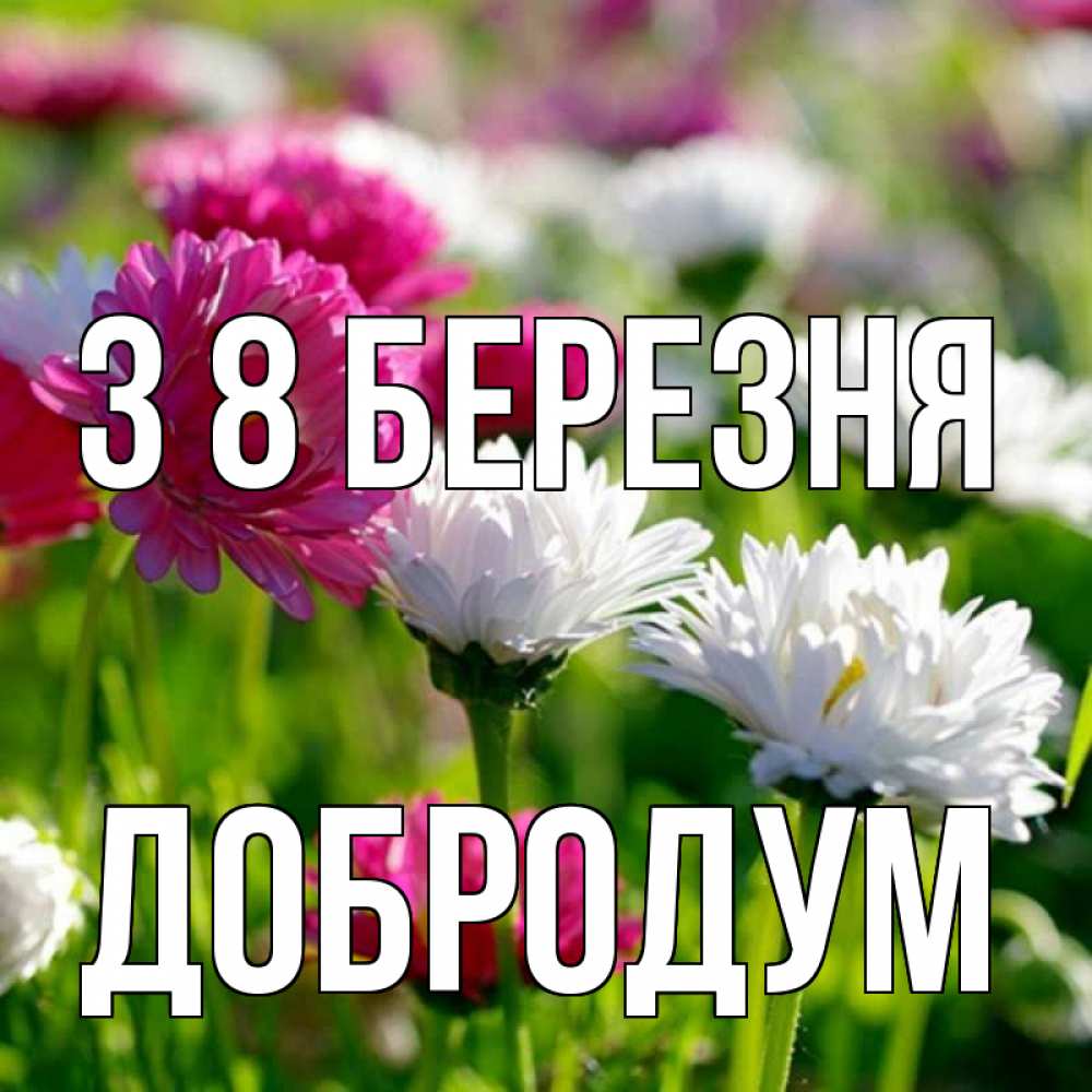 Открытка на каждый день з підписом, Добродум З 8 БЕРЕЗНЯ международный женский день 1 Прикольна листівка з побажанням онлайн скачати безкоштовно 