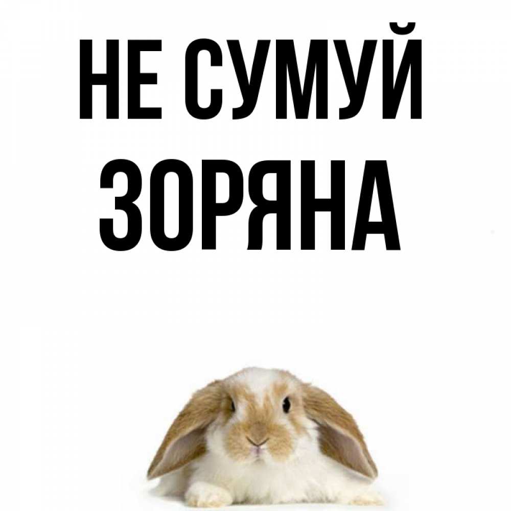 Открытка на каждый день з підписом, Зоряна Не сумуй коричнево белый заяц с большими ушками Прикольна листівка з побажанням онлайн скачати безкоштовно 