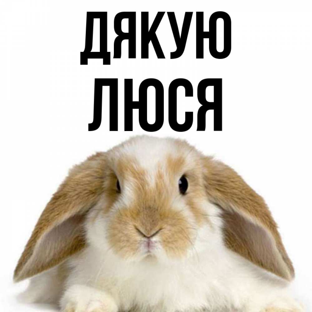 Открытка на каждый день з підписом, Люся Дякую коричнево белый заяц Прикольна листівка з побажанням онлайн скачати безкоштовно 